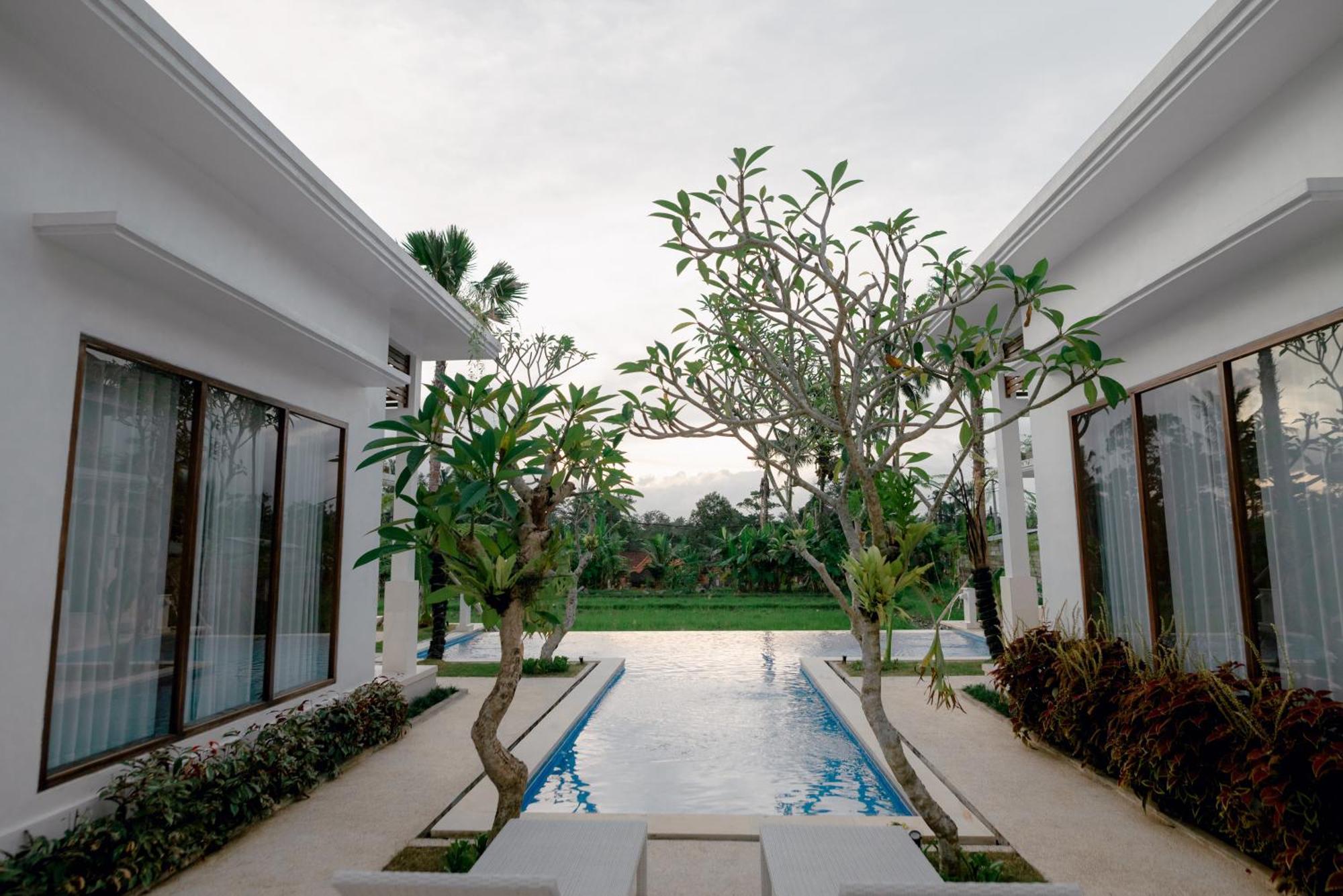 Namika Villas Ubud Extérieur photo